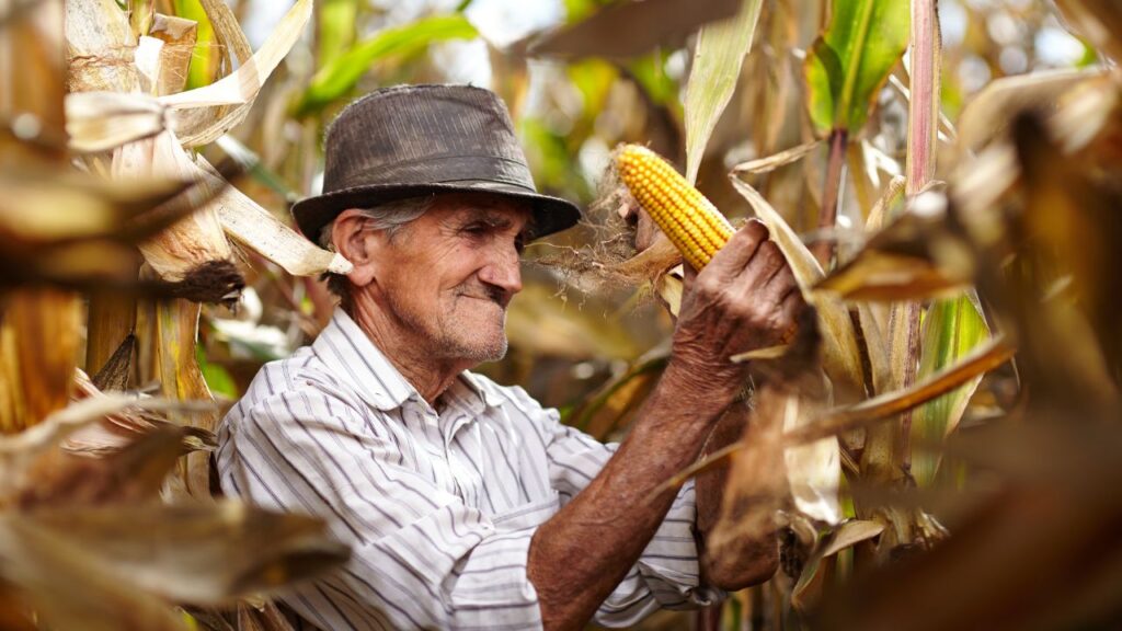 Aposentadoria por Idade do Trabalhador Rural