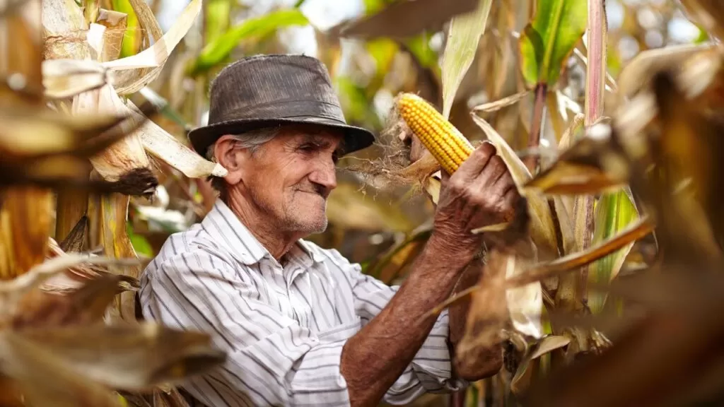 Aposentadoria por Idade do Trabalhador Rural